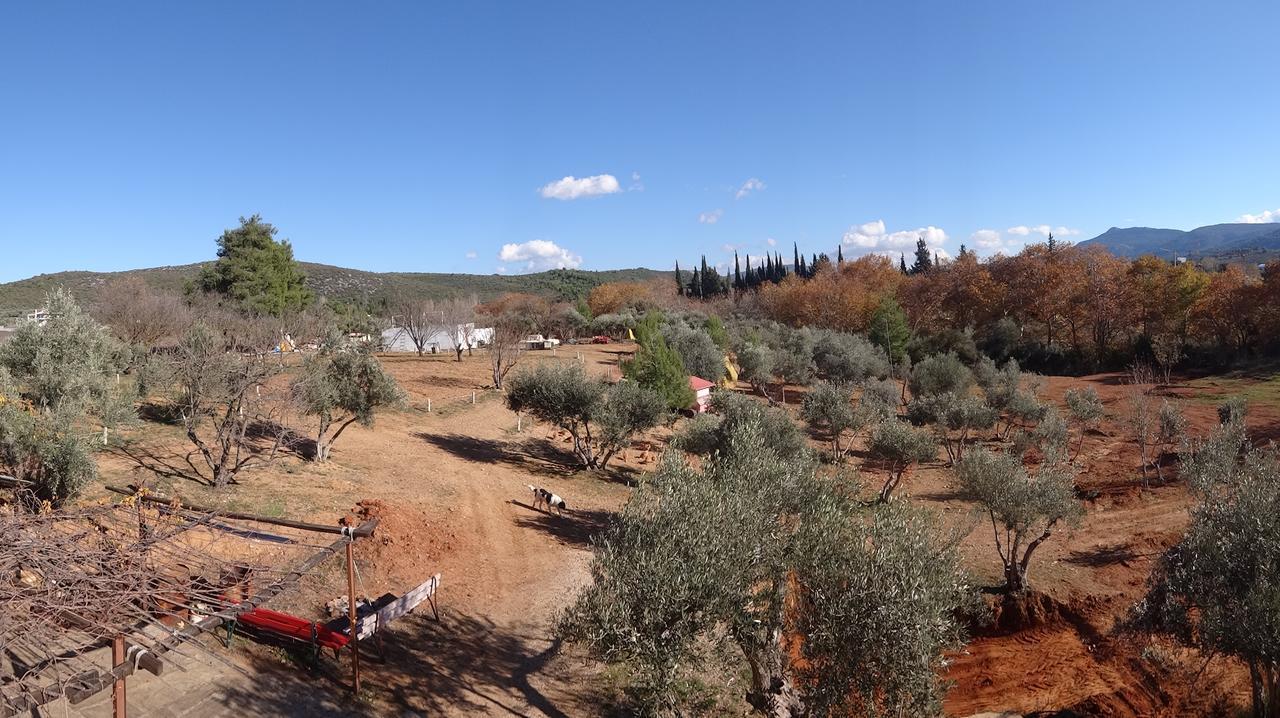 Relax In 'Crazy Farm' Βίλα Asprokhorion Εξωτερικό φωτογραφία