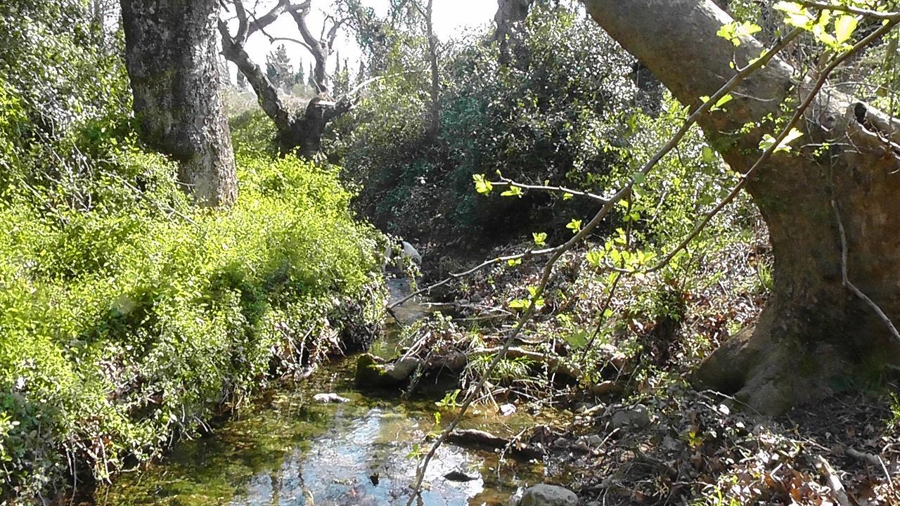 Relax In 'Crazy Farm' Βίλα Asprokhorion Εξωτερικό φωτογραφία
