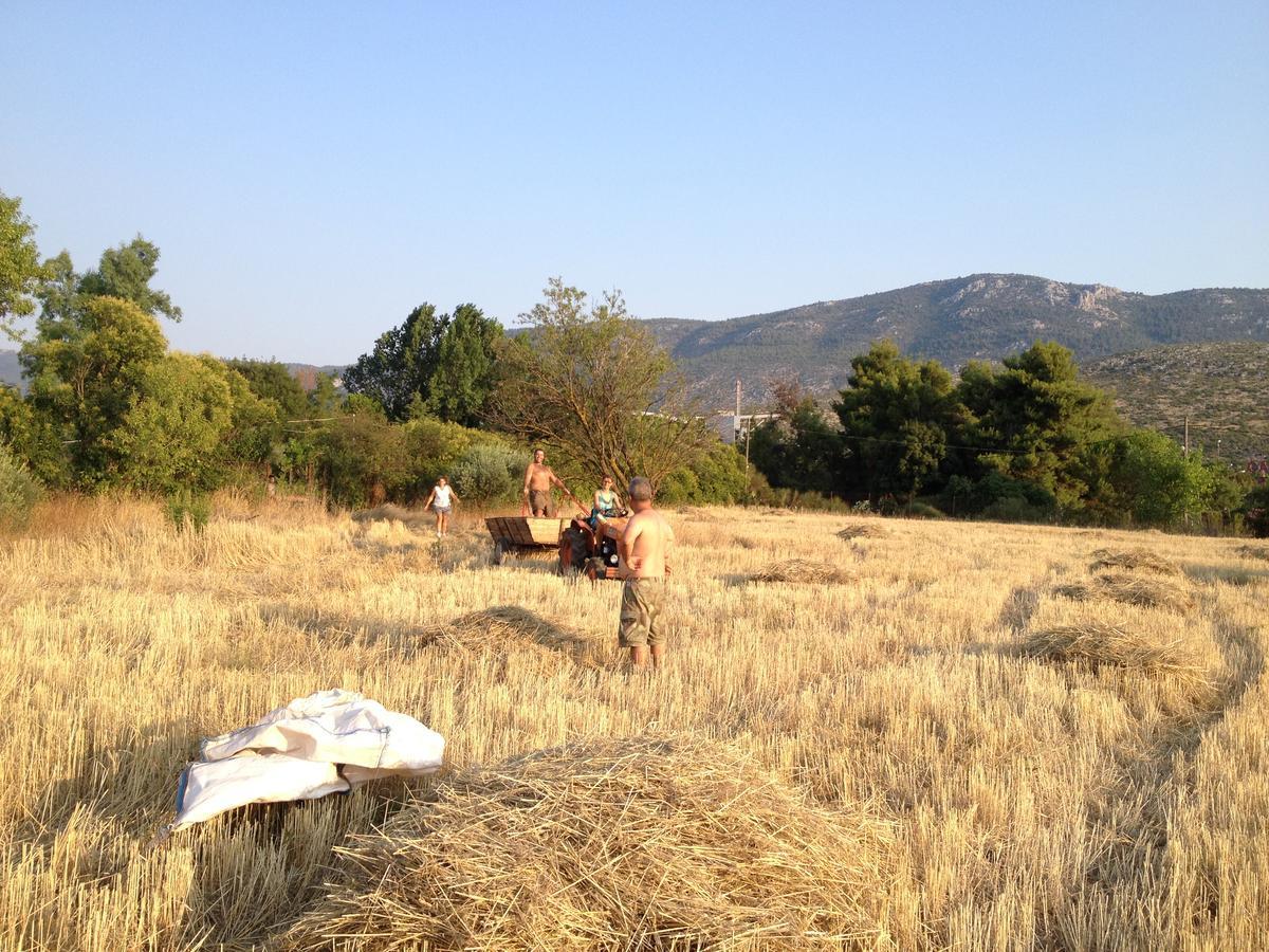 Relax In 'Crazy Farm' Βίλα Asprokhorion Εξωτερικό φωτογραφία